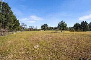 256 Co Rd 2749, Mineola, TX 75773 - Photo 35