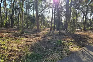 Lot 6 Hickory Ln, Bullard, TX 75757 - Photo 3