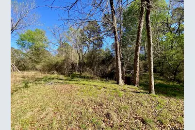 361 Beaver Run, Grapeland, TX 75844 - Photo 9