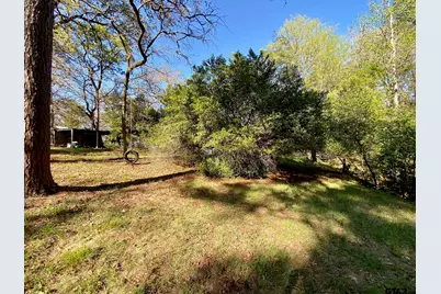 361 Beaver Run, Grapeland, TX 75844 - Photo 3
