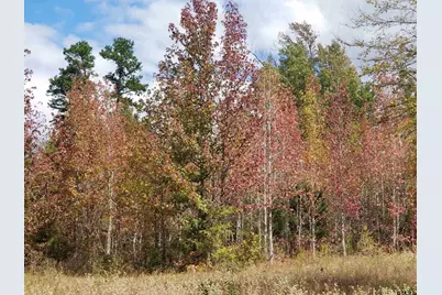 Tbd Fm 317, Chandler, TX 75758 - Photo 5