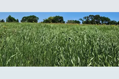 Tbd Fm 317, Chandler, TX 75758 - Photo 15
