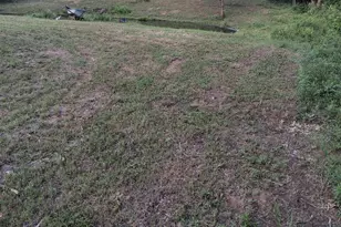 2332 Co Rd 1455, Mt Pleasant, TX 75455 - Photo 29