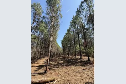 Tbd Lincoln Springs Rd, Gladewater, TX 75647 - Photo 9