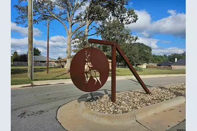 430 Deer Point Cove, Chandler, TX 75758 - Photo 1
