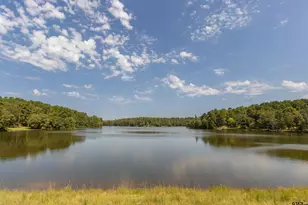 782 An County Rd 325, Frankston, TX 75763 - Photo 7