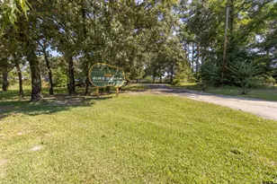 782 An County Rd 325, Frankston, TX 75763 - Photo 35