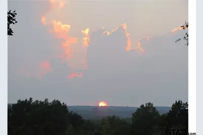 1773 Cr 2540, Mineola, TX 75773 - Photo 45