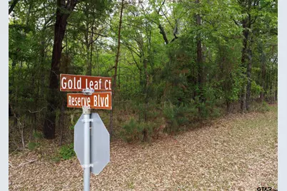 14856 Gold Leaf Ct, Tyler, TX 75707 - Photo 11