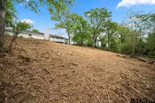 13070 County Rd 285, Tyler, TX 75707 - Photo 37