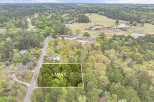 Lot 25 Acr 319, Frankston, TX 75763 - Photo 3