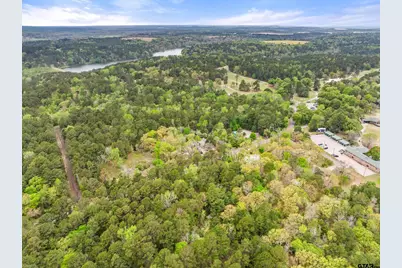 Lot 25 Acr 319, Frankston, TX 75763 - Photo 5