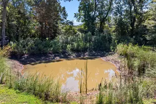 905 Co Rd 4914, Ben Wheeler, TX 75754 - Photo 39