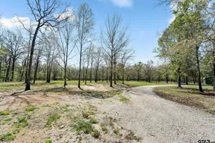 6256 Co Rd 1915, Mount Pleasant, TX 75455 - Photo 25