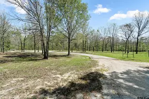 6256 Co Rd 1915, Mount Pleasant, TX 75455 - Photo 21