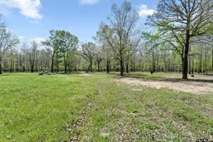 6256 Co Rd 1915, Mount Pleasant, TX 75455 - Photo 23