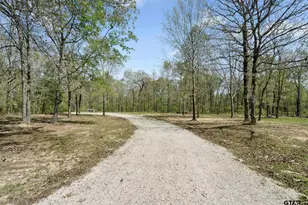 6256 Co Rd 1915, Mount Pleasant, TX 75455 - Photo 19