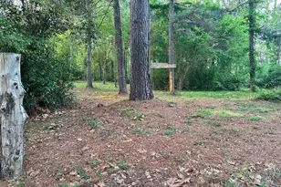 17424 Cr 46, Tyler, TX 75704 - Photo 39