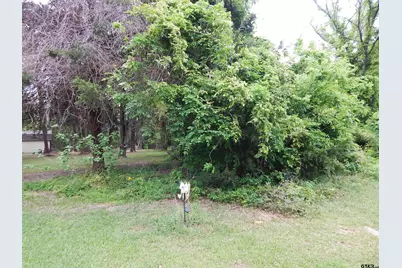 146 Cr 1215, Quitman, TX 75783 - Photo 7