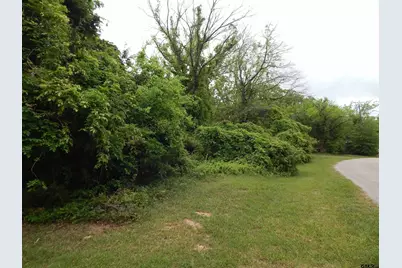 146 Cr 1215, Quitman, TX 75783 - Photo 3