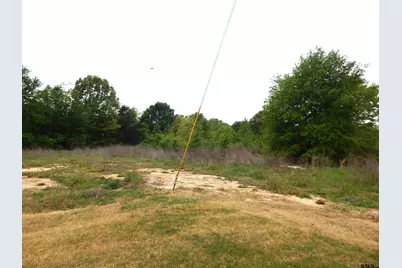 Tbd W St Hwy 154, Quitman, TX 75783 - Photo 13