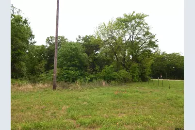 Tbd W St Hwy 154, Quitman, TX 75783 - Photo 5