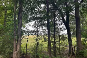 Lot 9 5+ Acres Fm 15, Troup, TX 75789 - Photo 1