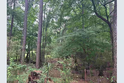 Lot 9  5+ Acres Fm 15, Troup, TX 75789 - Photo 5