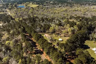 2519 FM 19, Palestine, TX 75803 - Photo 9