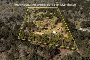 2519 FM 19, Palestine, TX 75803 - Photo 11