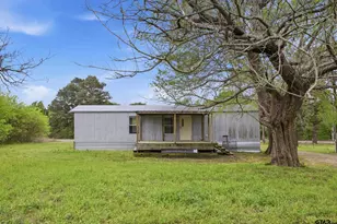 9903 W Sh-11, Leesburg, TX 75451 - Photo 3