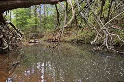 17804 Cr 4235, Frankston, TX 75763 - Photo 33