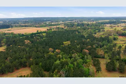 17804 Cr 4235, Frankston, TX 75763 - Photo 31