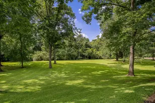 21 Rambling Rd, Palestine, TX 75801 - Photo 39