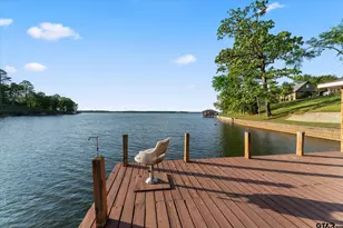 554 Co Rd 2331, Pittsburg, TX 75686 - Photo 41