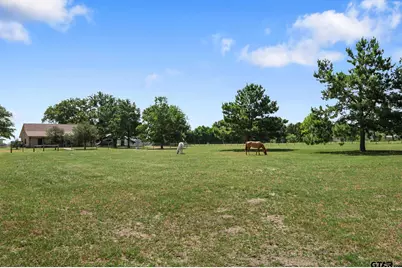 384 Cr 1875, Grapeland, TX 75844 - Photo 47