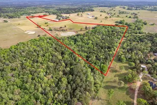 1045 Fm 2137 N, Bullard, TX 75757 - Photo 25