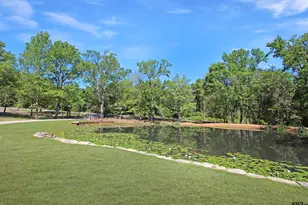 13896 Cr 3140, Tyler, TX 75706 - Photo 37