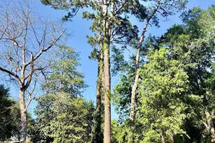 516 Dartmouth Dr, Tyler, TX 75701 - Photo 33