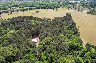 3570 Co Rd 3601, Bullard, TX 75757 - Photo 47