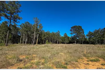 1329 Cr 2112, Rusk, TX 75785 - Photo 5