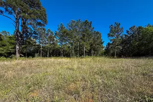 1329 Co Rd 2112, Rusk, TX 75785 - Photo 1