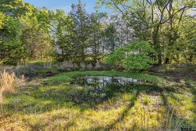 17137 C R 43, Tyler, TX 75704 - Photo 45