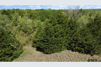 Tbd County Road 4511, Commerce, TX 75428 - Photo 9