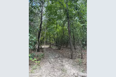 22417 Cr 455, Mineola, TX 75773 - Photo 11