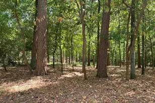 Tbd Lamplight Path, Holly Lake Ranch, TX 75765 - Photo 1