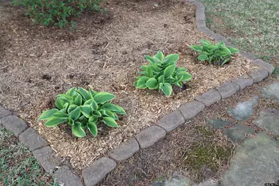 3407 Storey Lake Drive, Tyler, TX 75707 - Photo 37