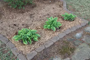 3407 Storey Lake Dr, Tyler, TX 75707 - Photo 37