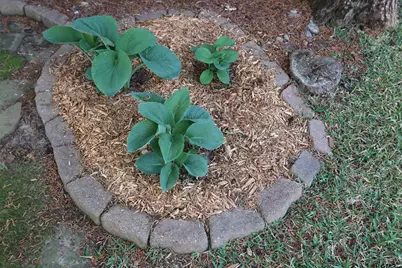 3407 Storey Lake Drive, Tyler, TX 75707 - Photo 35