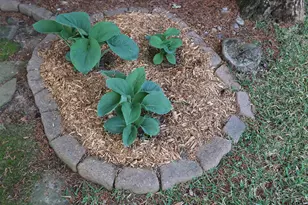 3407 Storey Lake Dr, Tyler, TX 75707 - Photo 35